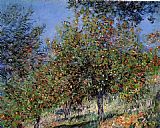Apple Trees on the Chantemesle Hill